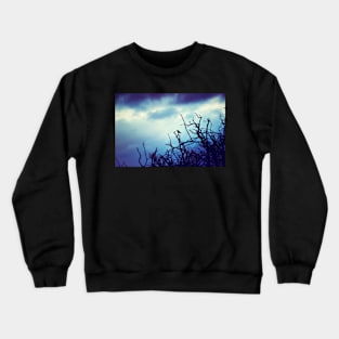 Guardian of the Shadows Crewneck Sweatshirt